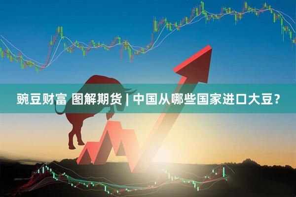 豌豆财富 图解期货 | 中国从哪些国家进口大豆？